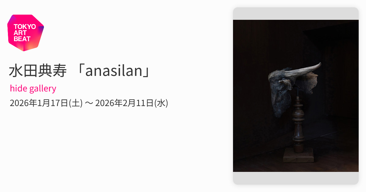 水田典寿 「anasilan」 （hide gallery） ｜Tokyo Art Beat