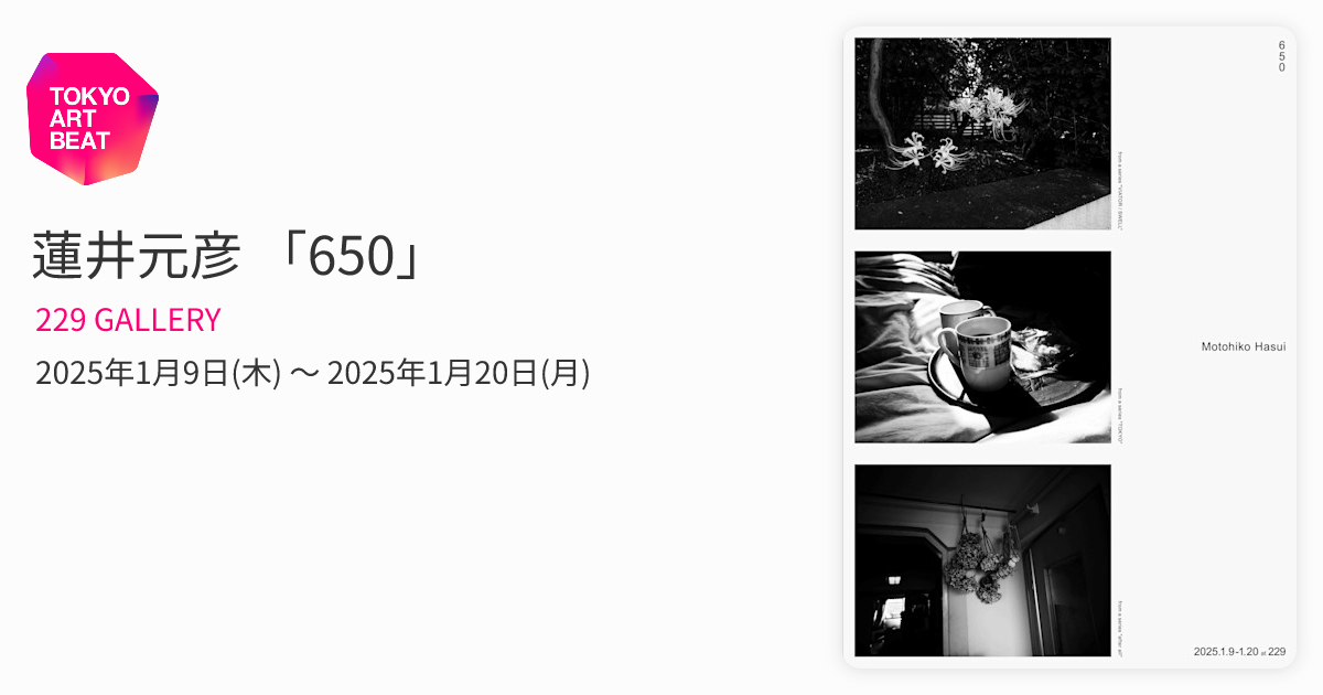 蓮井元彦 「650」 （229 GALLERY） ｜Tokyo Art Beat