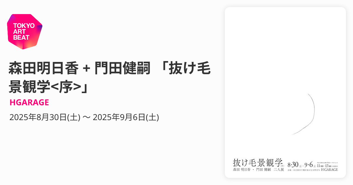 森田明日香 + 門田健嗣 「抜け毛景観学<序>」 （HGARAGE） ｜Tokyo Art
