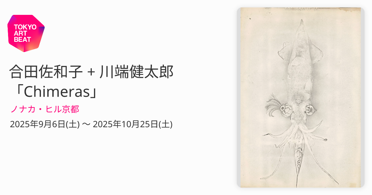 合田佐和子 + 川端健太郎 「Chimeras」 （ノナカ・ヒル京都） ｜Tokyo