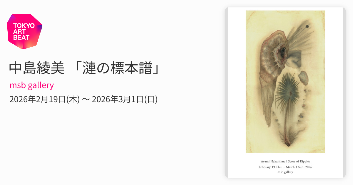 中島綾美 「漣の標本譜」 （msb gallery） ｜Tokyo Art Beat