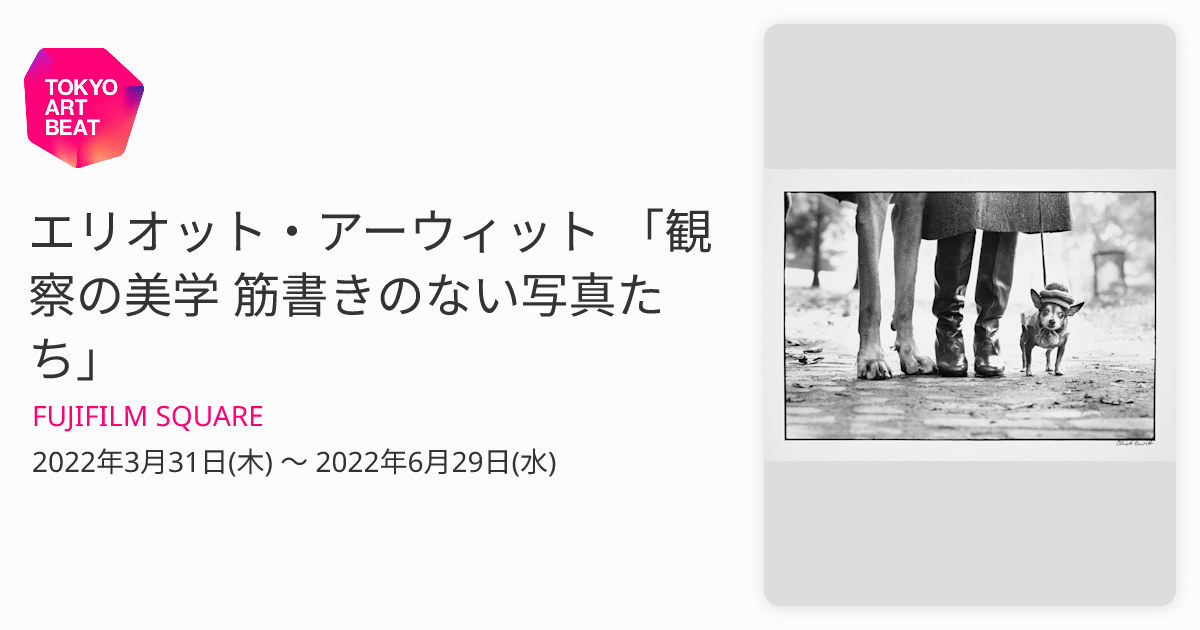 エリオット・アーウィット 「観察の美学 筋書きのない写真たち