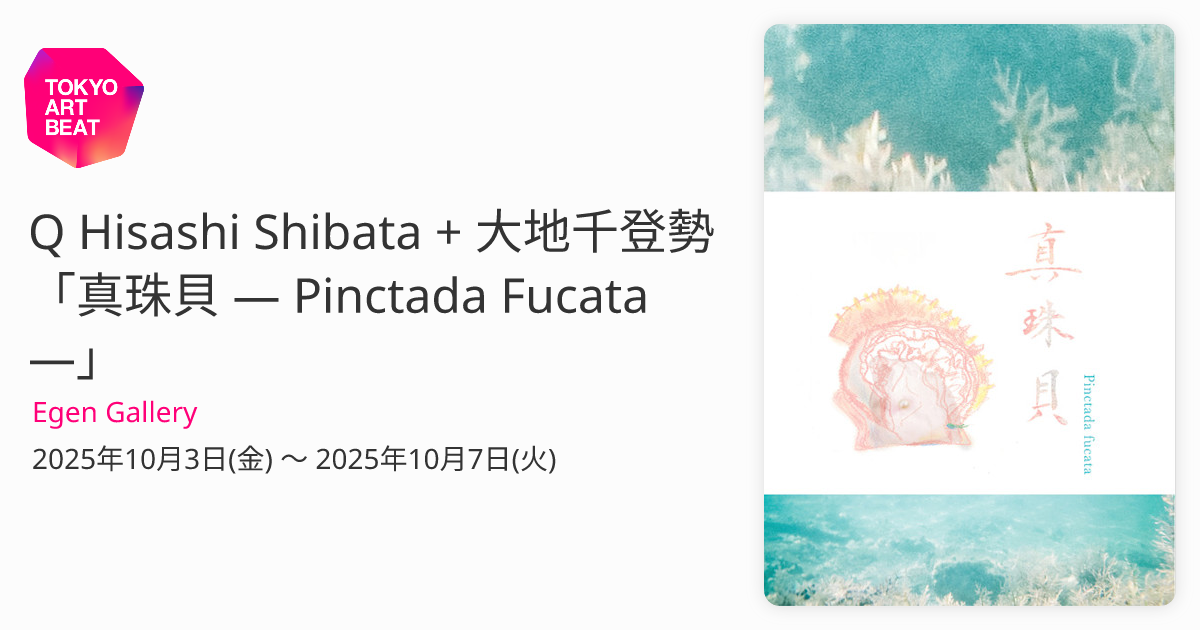 柴田善登「蔵王と沼尻」素描14枚,鉛筆,圧倒的な素描力と造詣に裏打ちされたセンス Q Hisashi Shibata + 大地千登勢 「真珠貝 — Pinctada Fucata