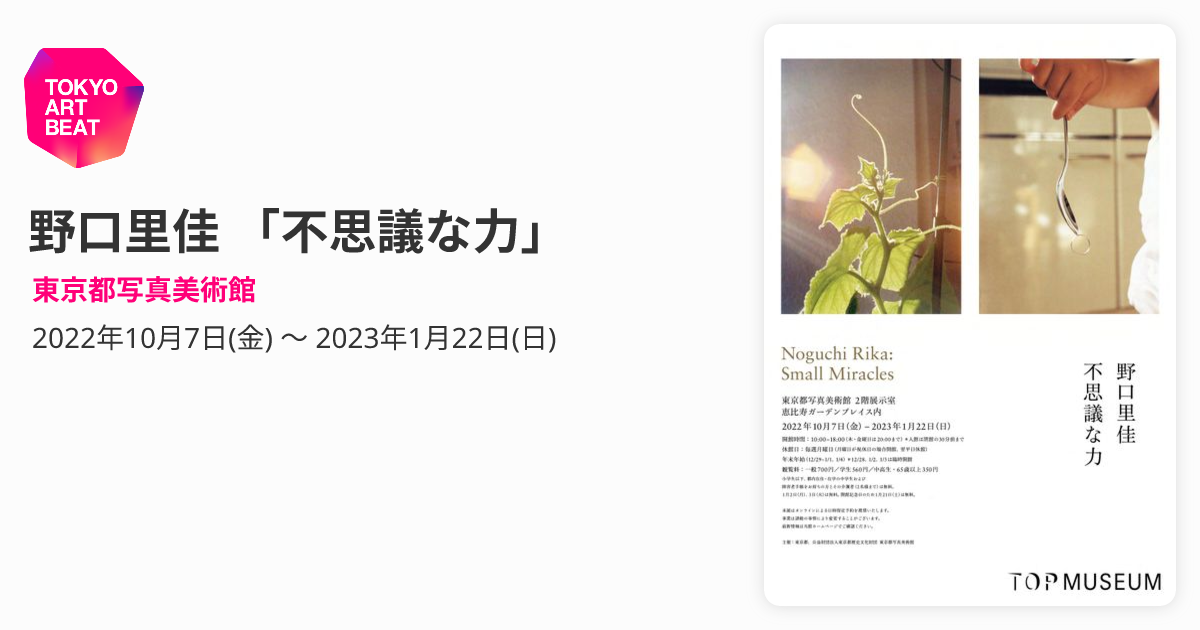 野口里佳 「不思議な力」 （東京都写真美術館） ｜Tokyo Art Beat