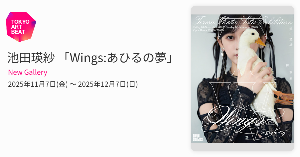 池田瑛紗 「Wings:あひるの夢」 （New Gallery） ｜Tokyo Art Beat
