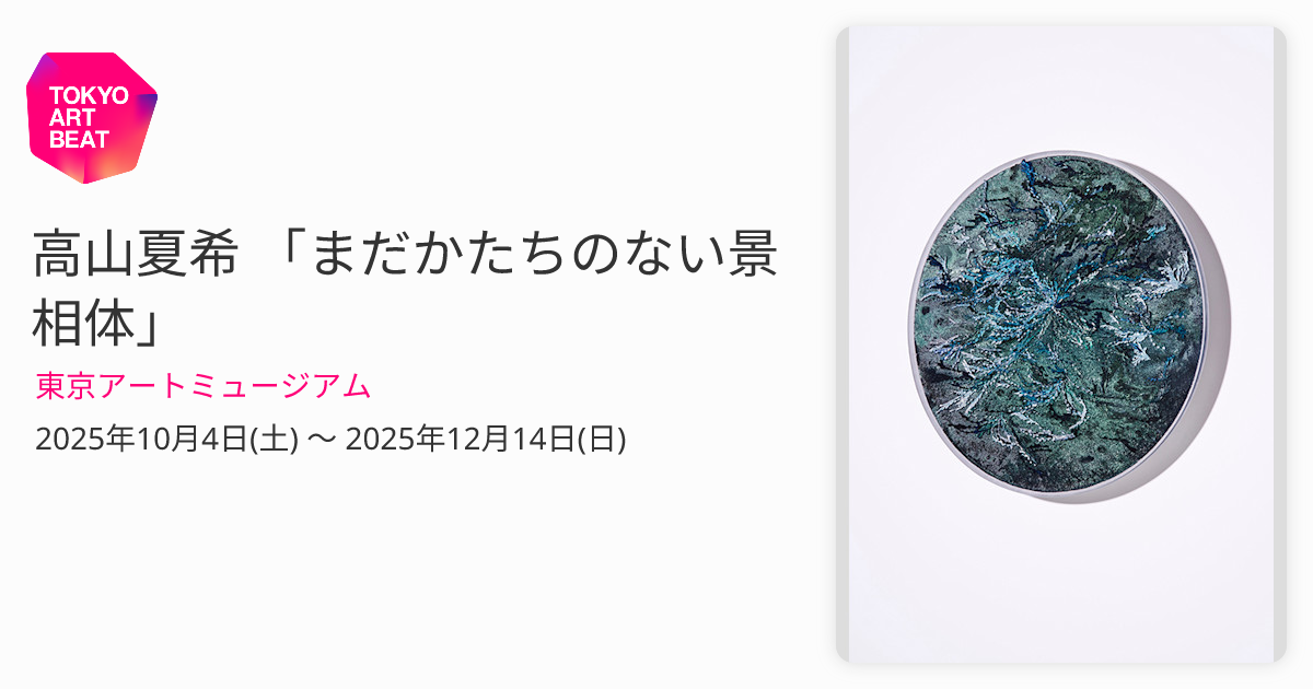 高山夏希 「まだかたちのない景相体」 （東京アートミュージアム