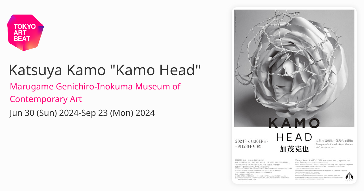 アート・デザイン・音楽 KAMO HEAD Katsuya Kamo 