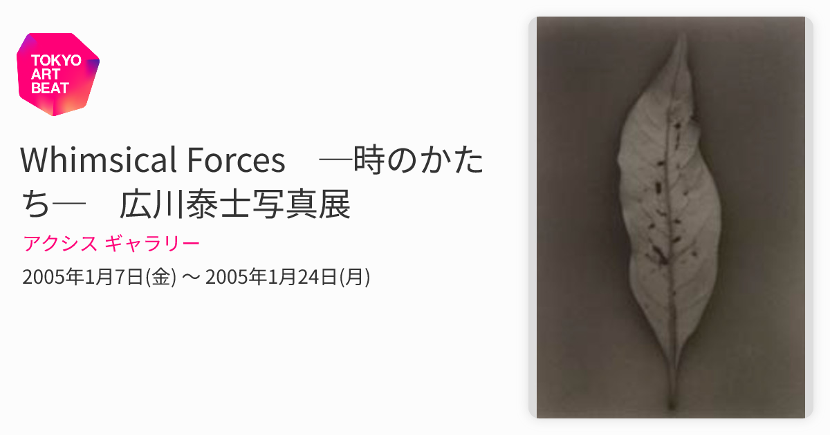 Whimsical Forces ─時のかたち─ 広川泰士写真展 （アクシス