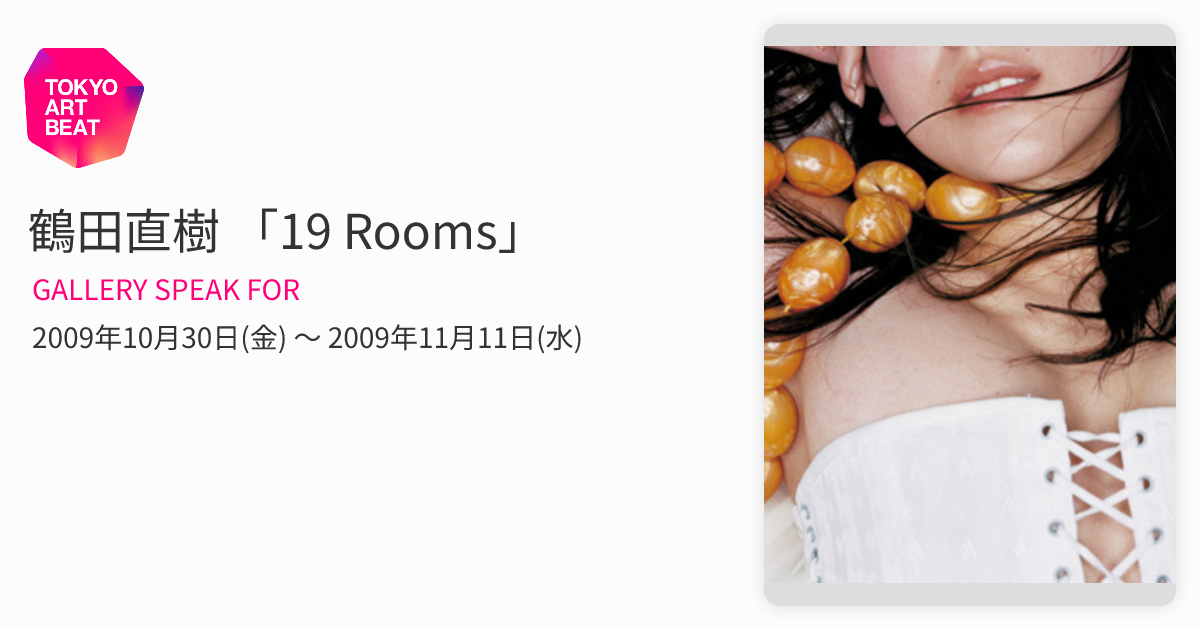 鶴田直樹 「19 Rooms」 （GALLERY SPEAK FOR） ｜Tokyo Art Beat