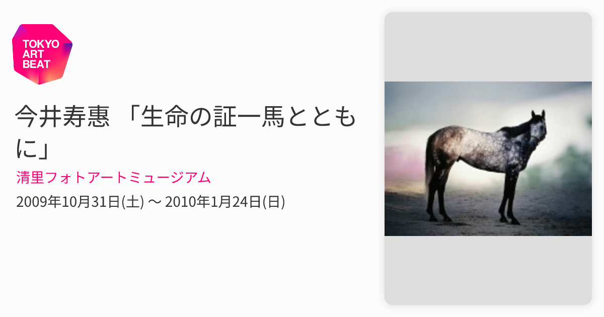 写真家 今井壽惠 今井寿恵 夕日 馬 JRA 【公式通販】