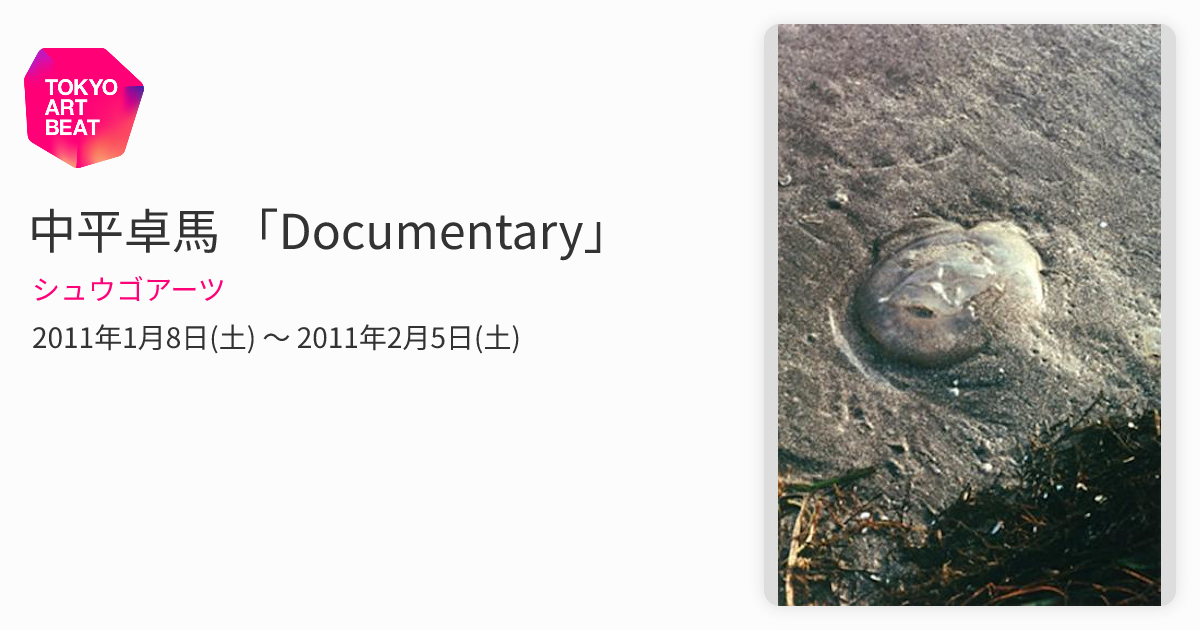 中平卓馬 「Documentary」 （シュウゴアーツ） ｜Tokyo Art Beat