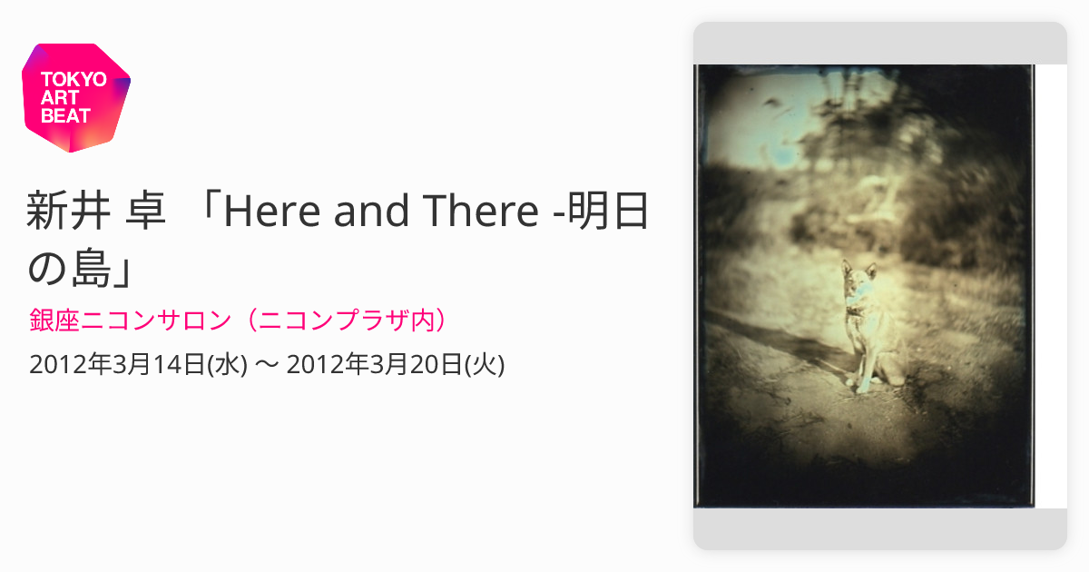 新井 卓 「Here and There -明日の島」 （銀座ニコンサロン（ニコン