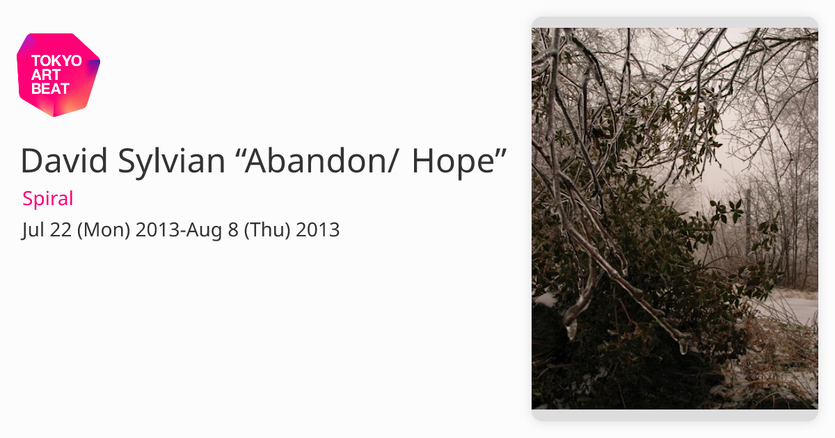 David Sylvian “Abandon/ Hope” （Spiral） ｜Tokyo Art Beat