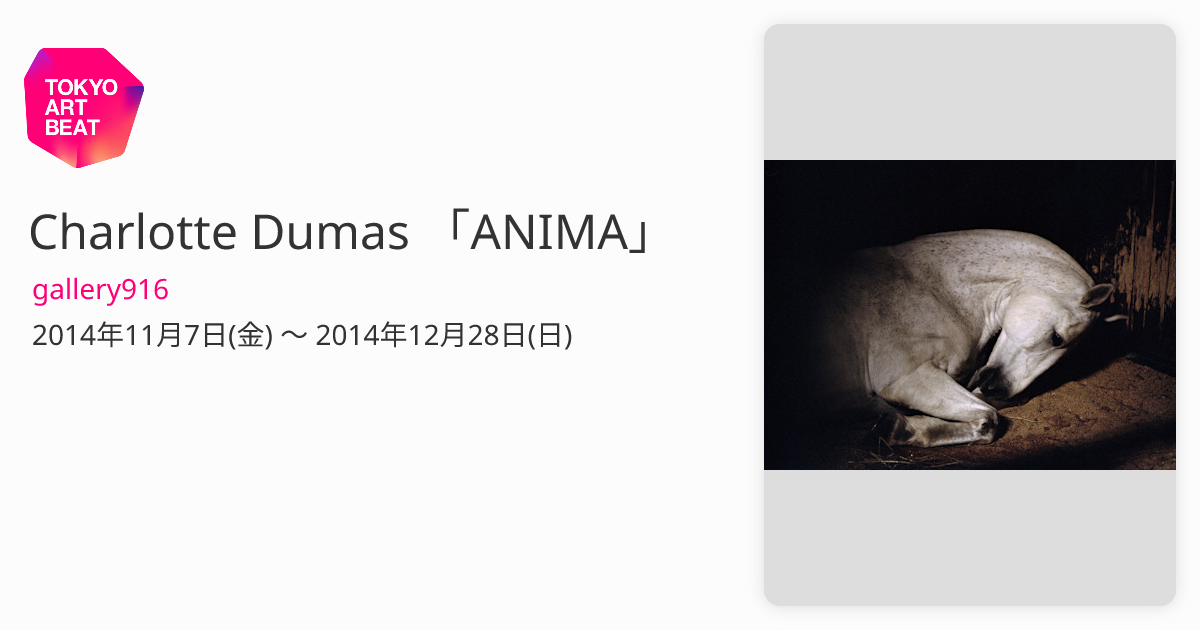 Charlotte Dumas 「ANIMA」 （gallery916） ｜Tokyo Art Beat