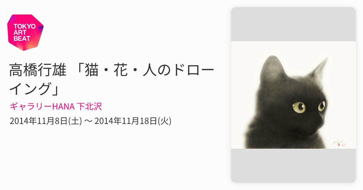 高橋行雄 「猫・花・人のドローイング」 （ギャラリーHANA 下北沢
