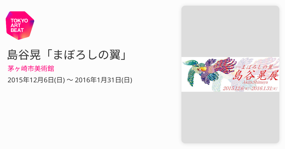 島谷晃「まぼろしの翼」 （茅ヶ崎市美術館） ｜Tokyo Art Beat