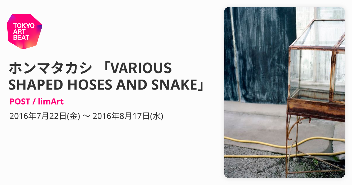 ホンマタカシ 「VARIOUS SHAPED HOSES AND SNAKE」 （POST / limArt 