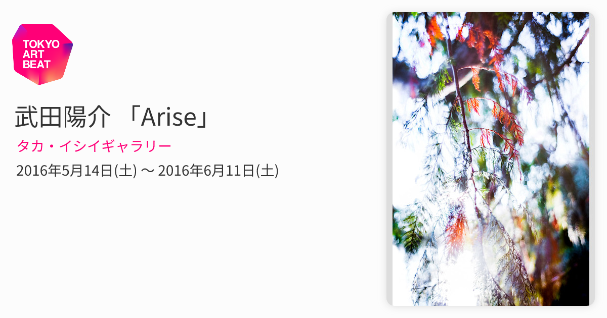 武田陽介 「Arise」 （タカ・イシイギャラリー） ｜Tokyo Art Beat