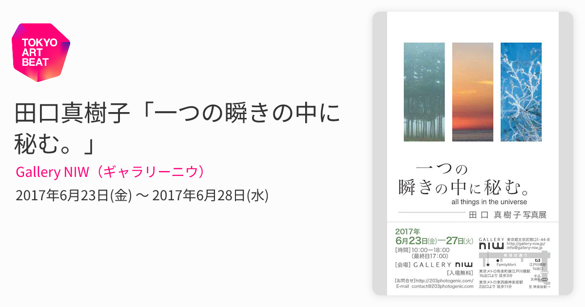 田口真樹子「一つの瞬きの中に秘む。」 （Gallery NIW（ギャラリーニウ