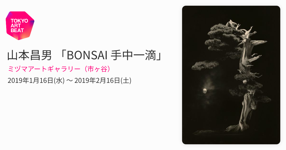 山本昌男 「手中一滴」 直筆サイン入り限定品T&M Projects 盆栽 山本