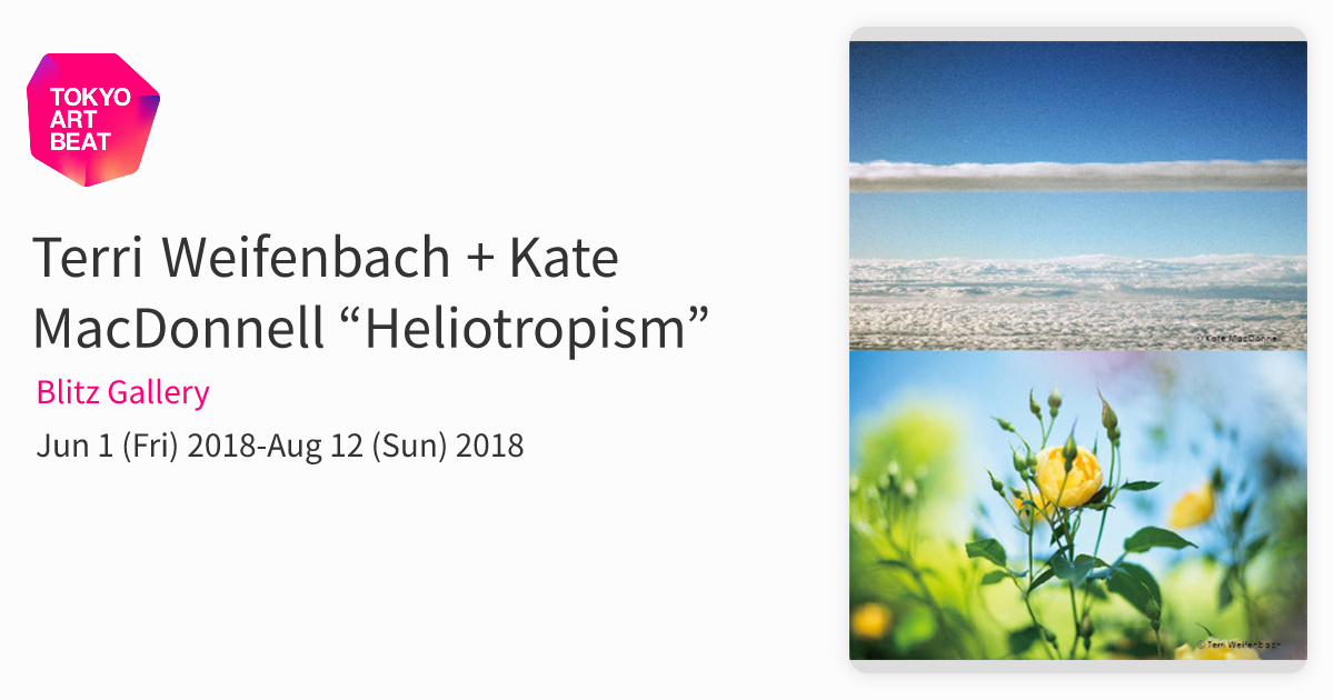 Terri Weifenbach + Kate MacDonnell “Heliotropism” （Blitz Gallery