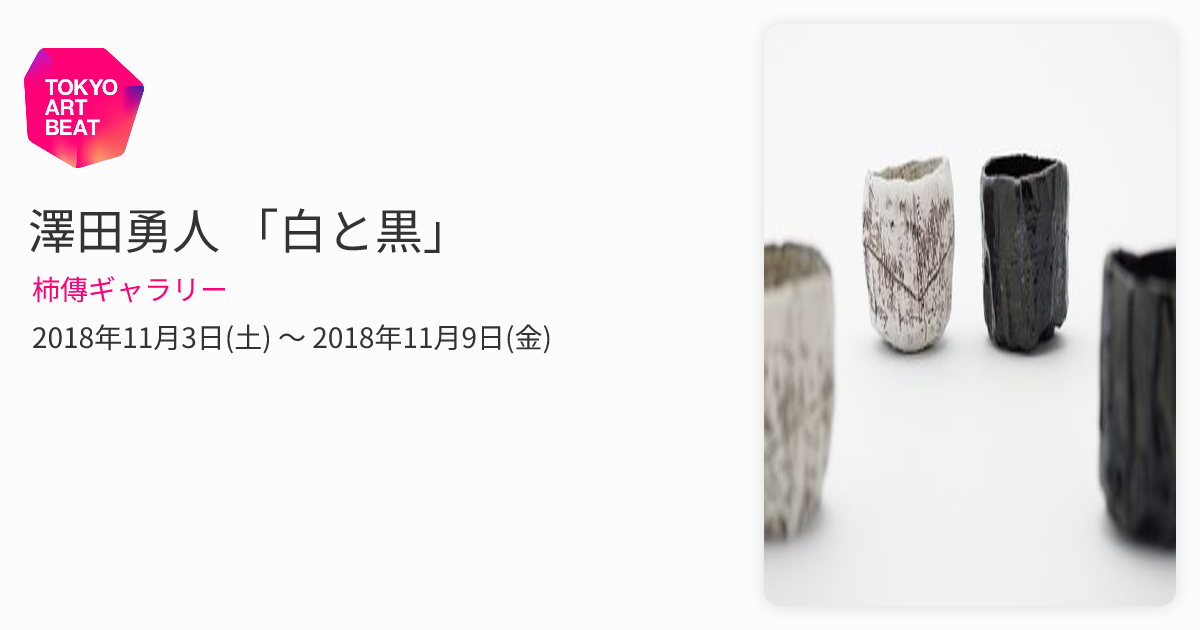 益子焼 澤田勇人さん 陶器 抹茶碗 茶碗① 澤田勇人 「白と黒」 （柿傳