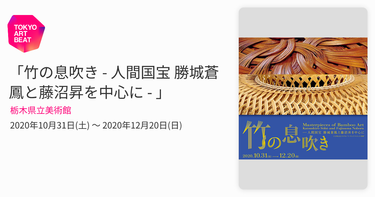 竹の息吹き - 人間国宝 勝城蒼鳳と藤沼昇を中心に - 」 （栃木県立