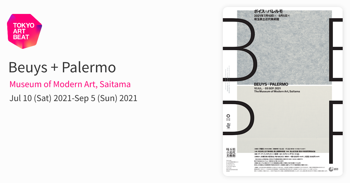 Beuys + Palermo （Museum of Modern Art, Saitama） ｜Tokyo Art Beat
