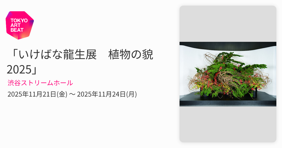池坊　いけばな　古流　龍生派　小林正明　陶花器　華道具　花瓶　高さ55.5cm いけばな龍生展 植物の貌2025」 （渋谷ストリームホール） ｜Tokyo Art