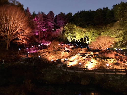 Kyota Takahashi, 'Japanese lantern parade landscape 2020'