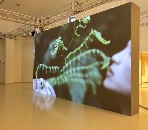 Zheng Bo, 'Pteridophilia I' (2016) at Yokohama Triennale 2020