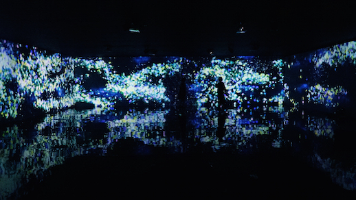 teamLab, 'Flowers and People, Cannot Be Controlled But Live Together'