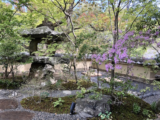 The front garden at Sumiya Kiho-an in spring