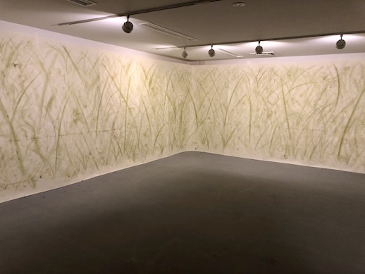 Shujiro Murayama's 'Moving Earth Moving Plants – Roots Project' at Hibiya Okuroji G14